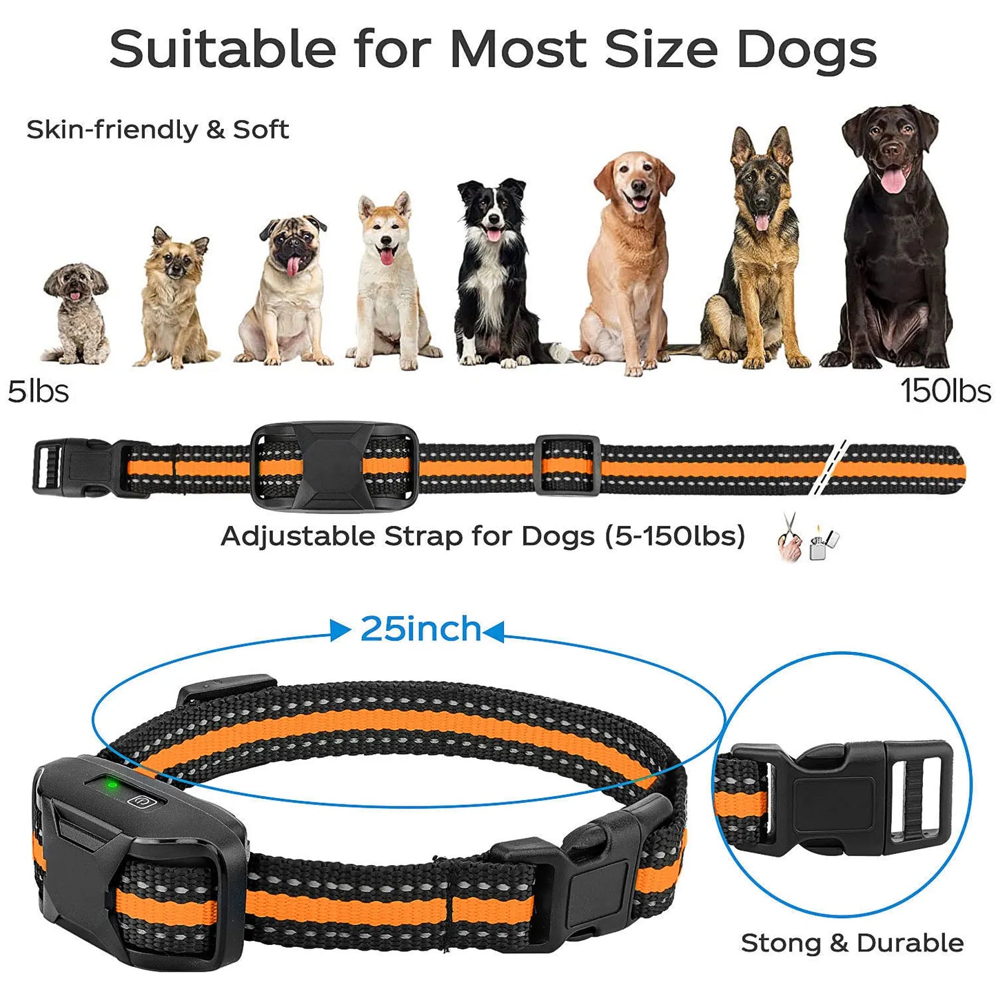 E Dog Training Collar