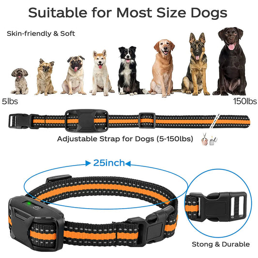 E Dog Training Collar