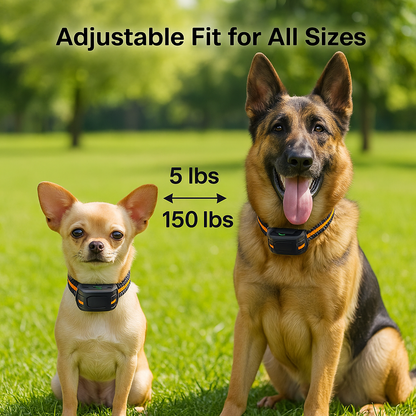 E Dog Training Collar