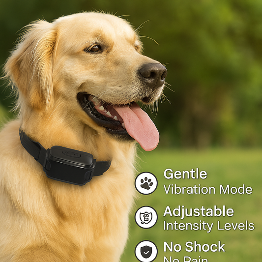E Dog Training Collar