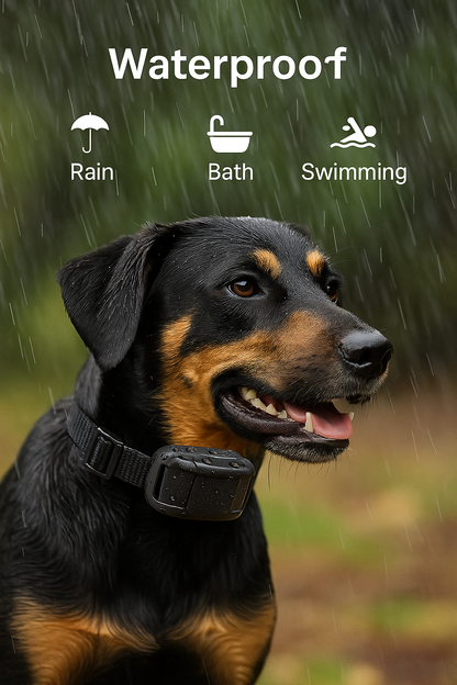 E Dog Training Collar